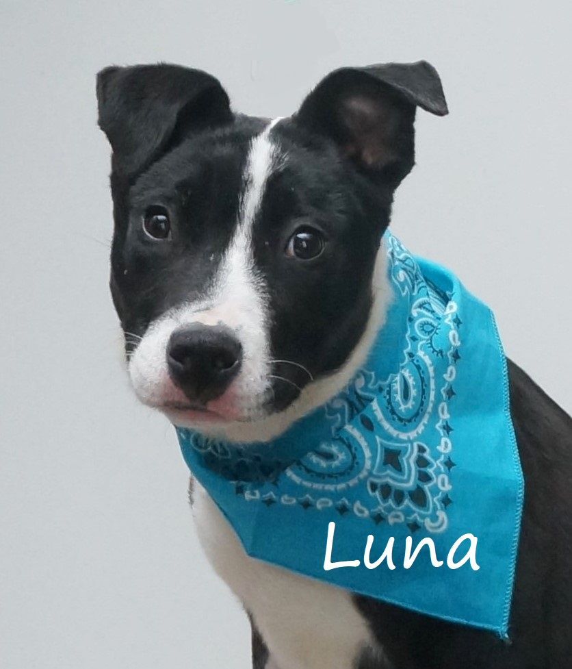 Luna