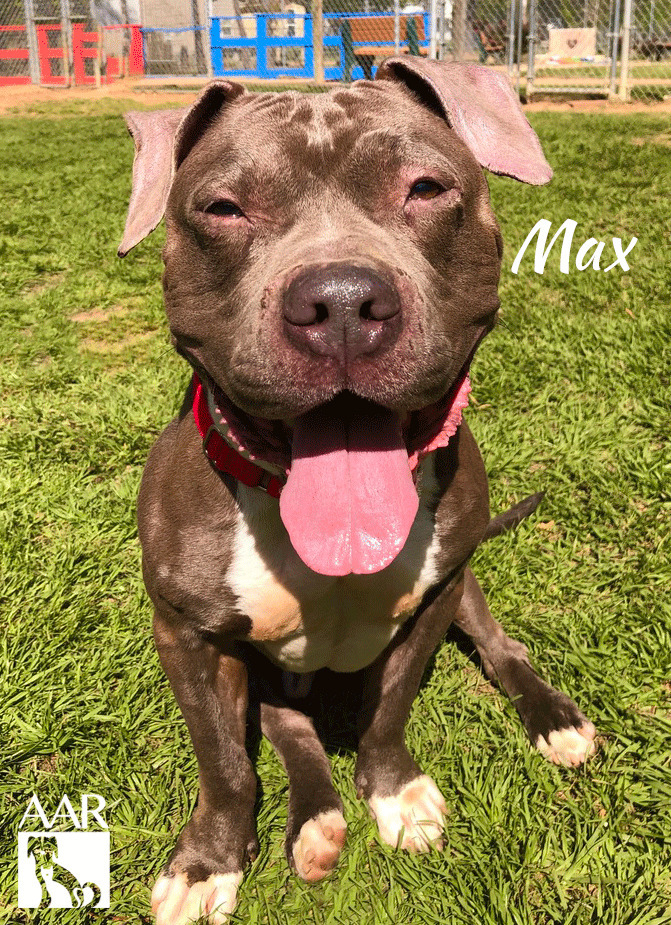 Max