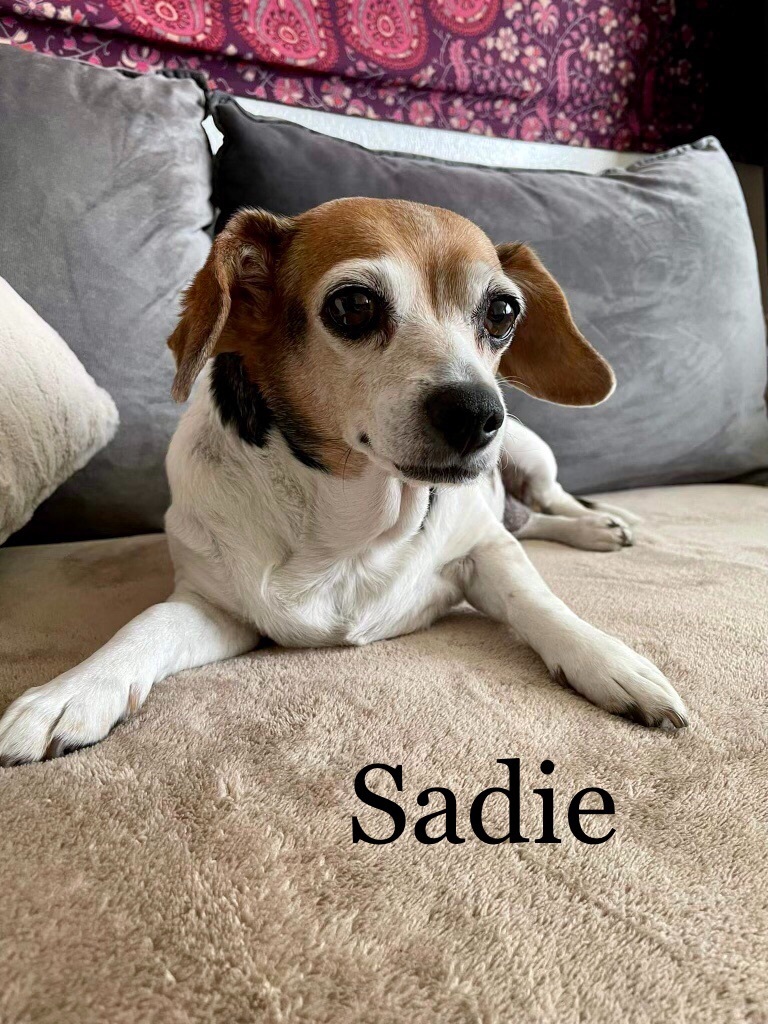 Sadie