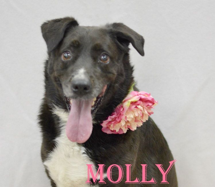 Molly