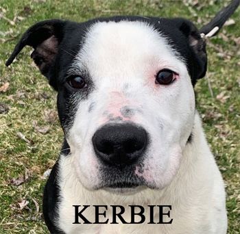 Kerbie