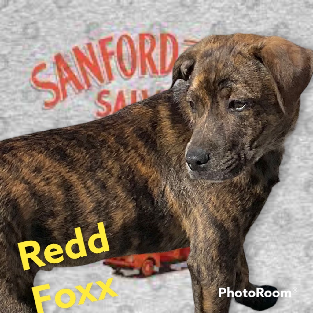 Redd Foxx