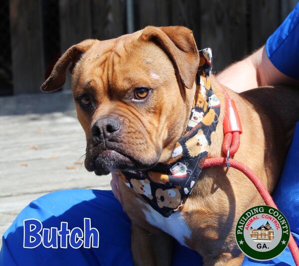 22-04-0986a Butch