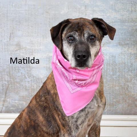 Matilda