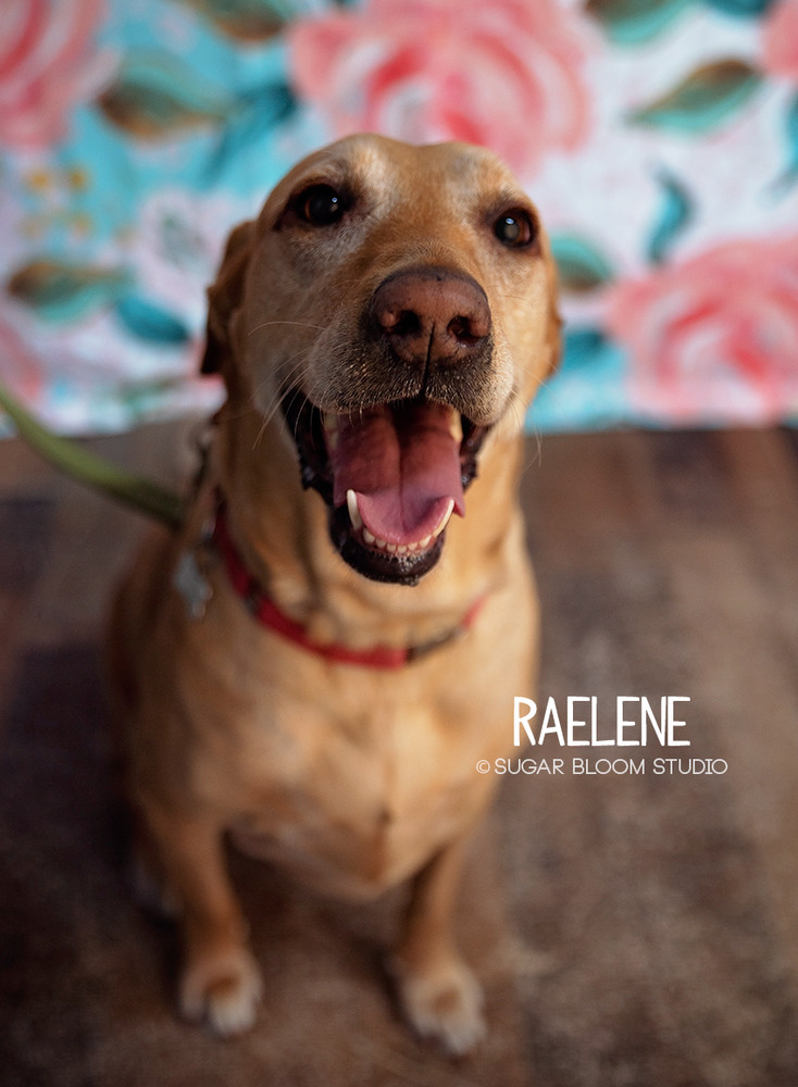 Raelene