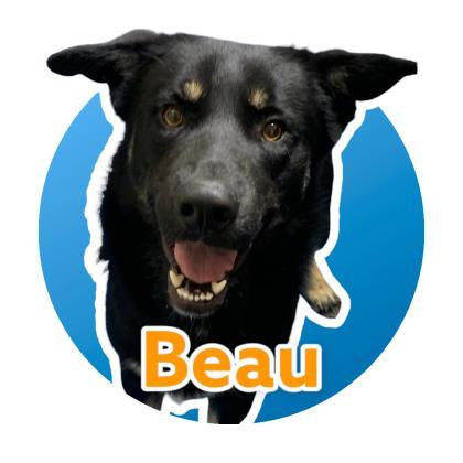 Beau