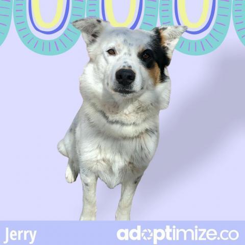 Jerry