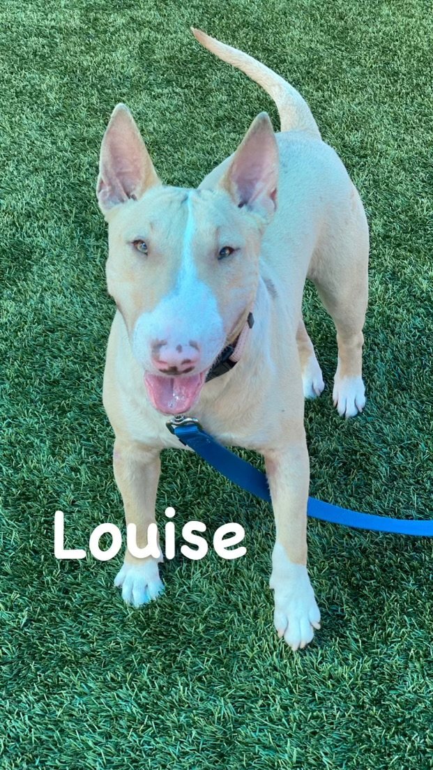 Louise (Lu)