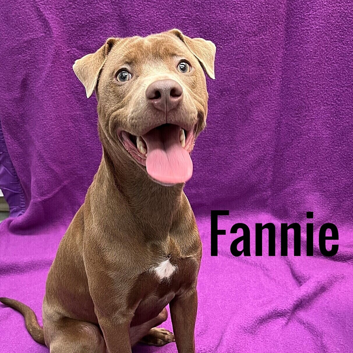 Fannie