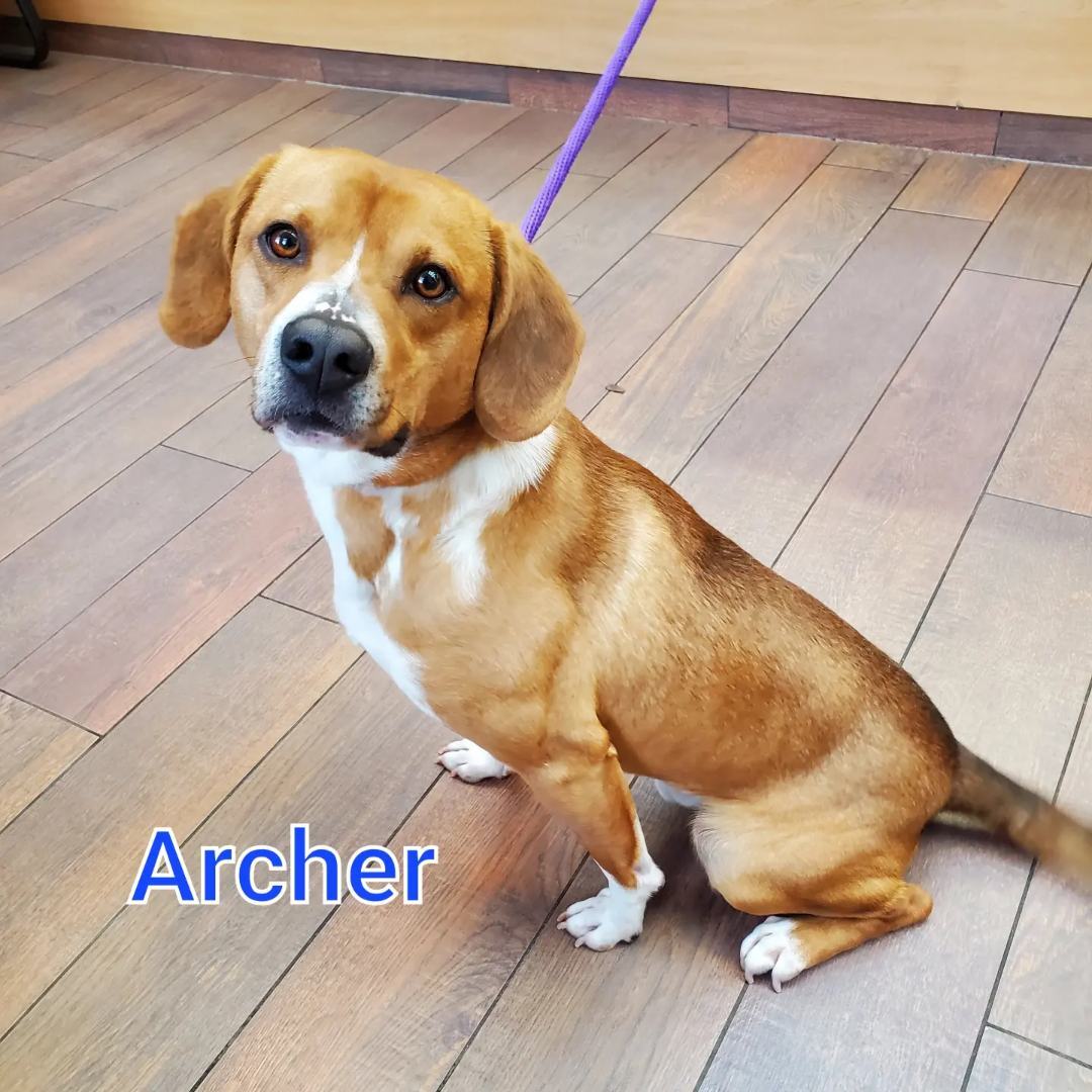 Archer