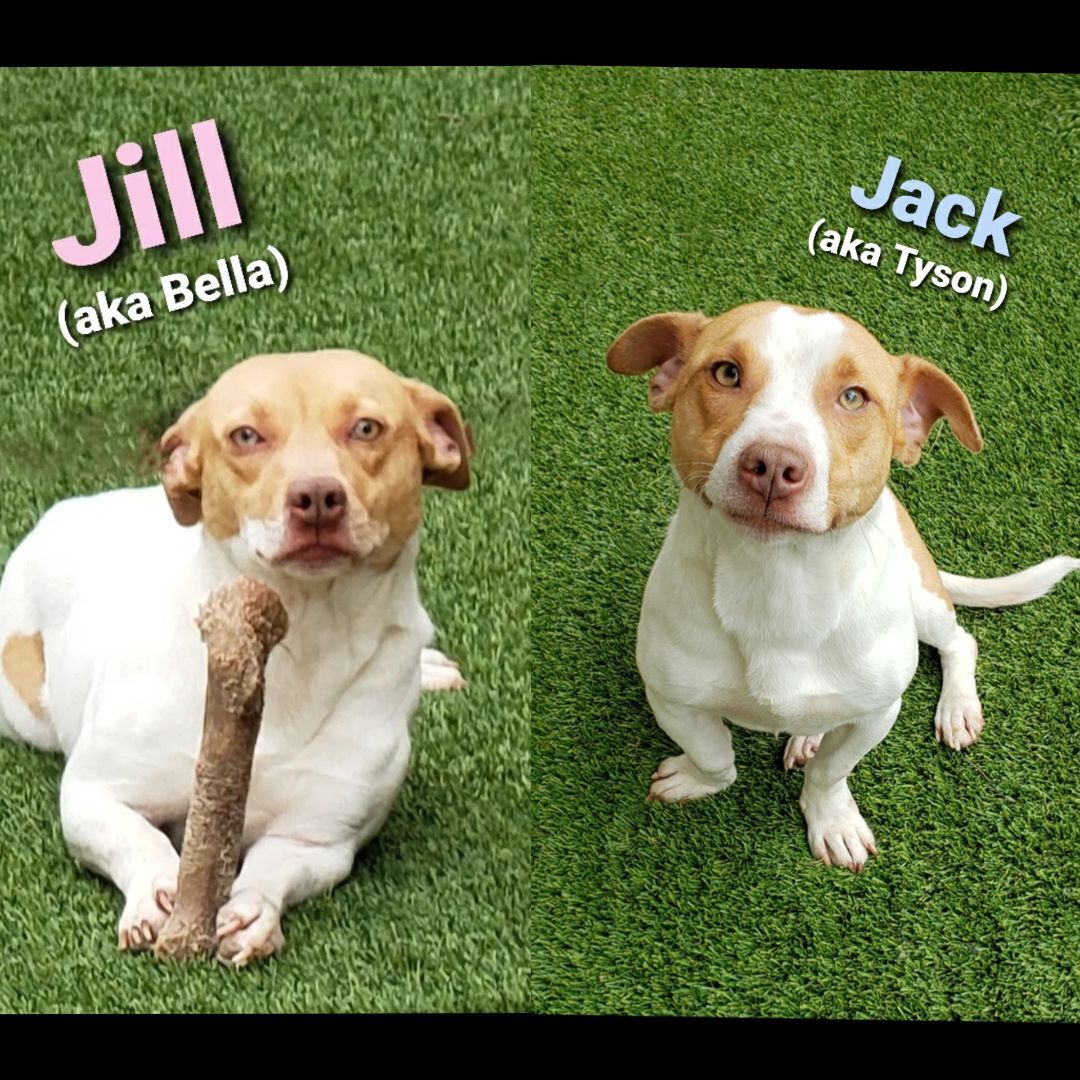 Jack & Jill