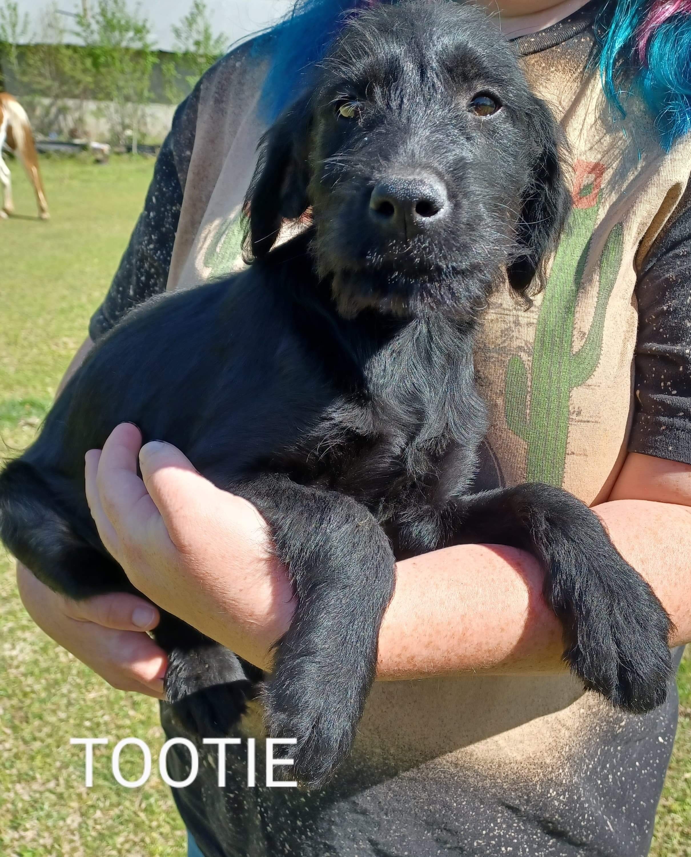 Tootie