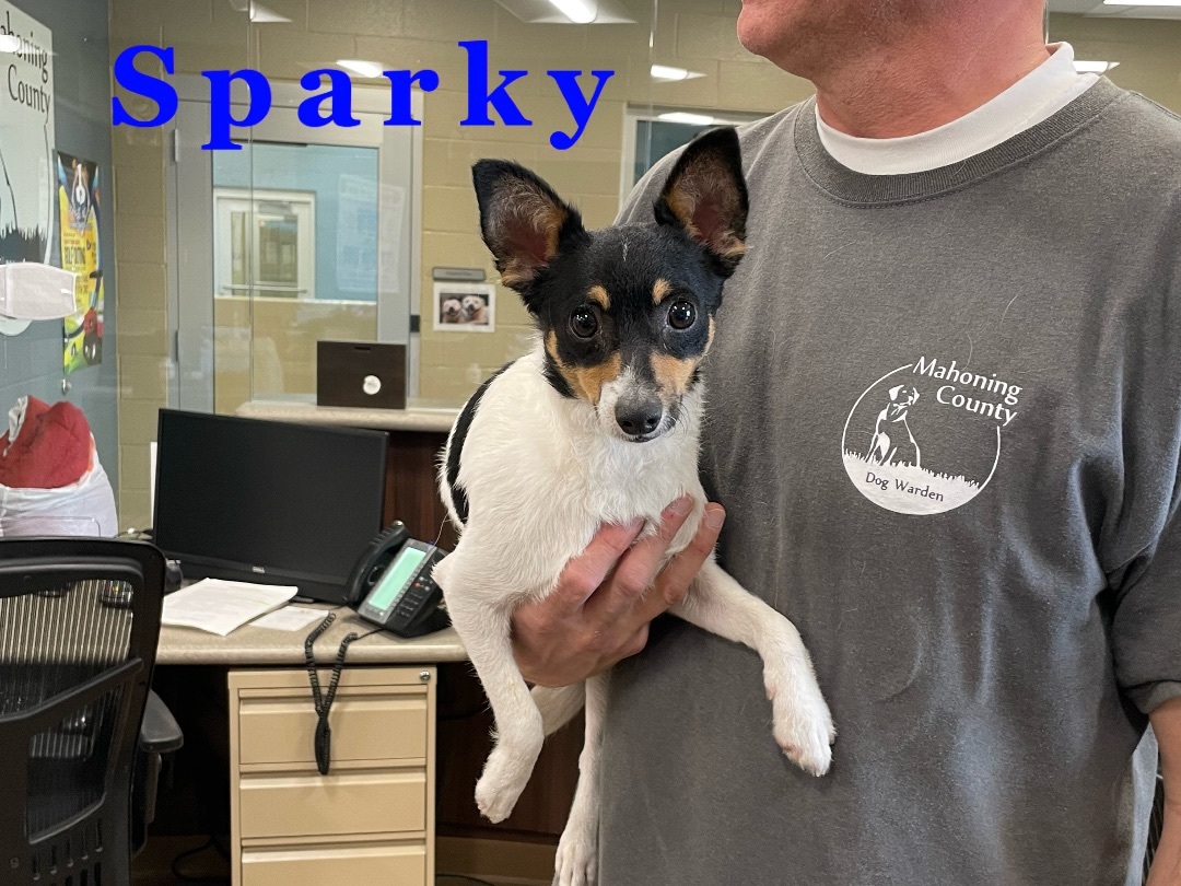 Sparky