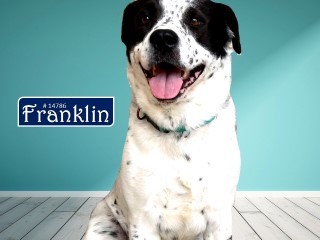 Franklin