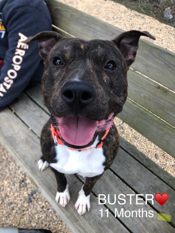 Buster