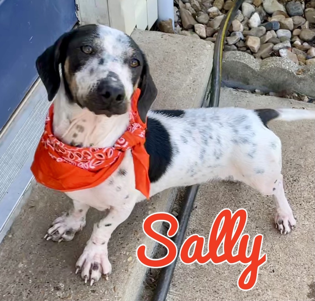 Sally in Texarkana AR/TX