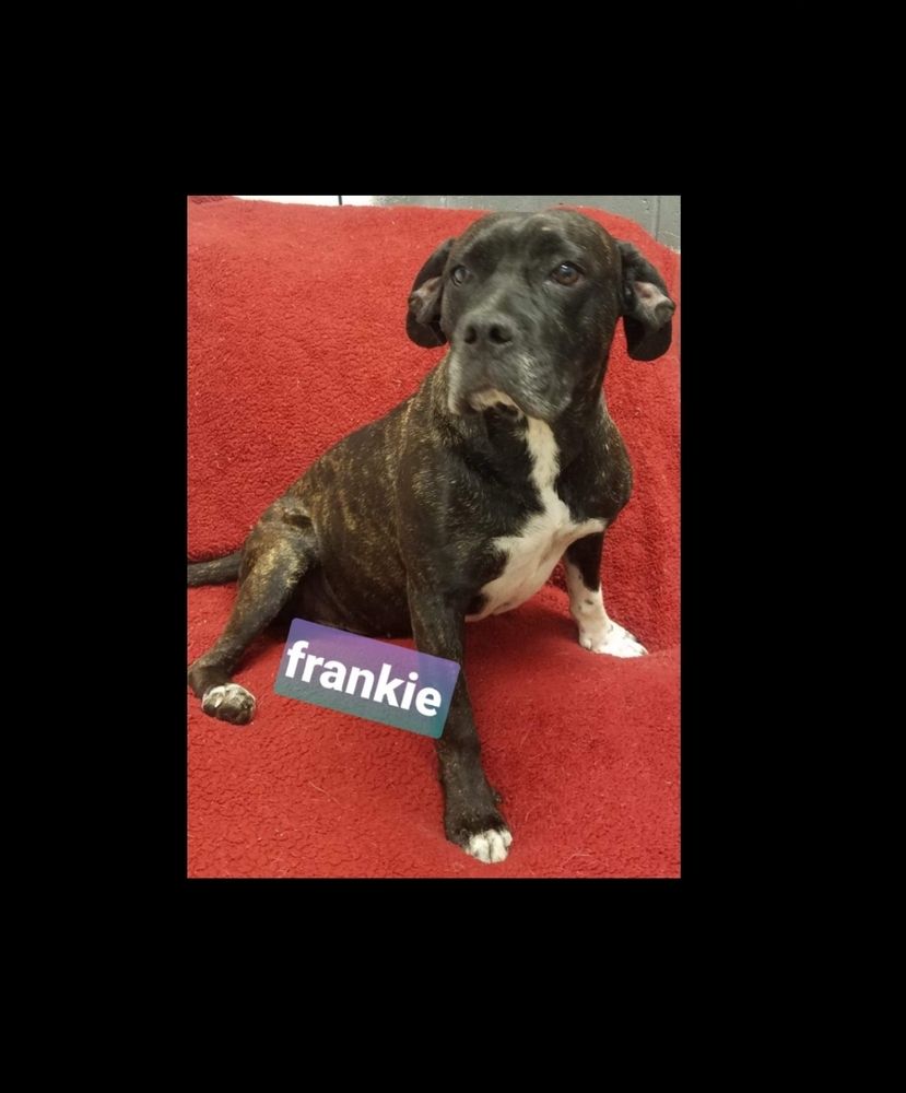 Frankie