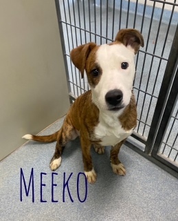 Meeko 23209