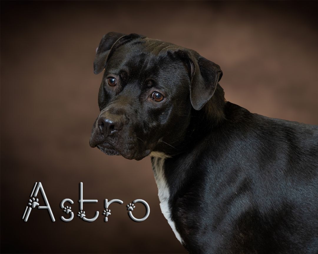 Astro