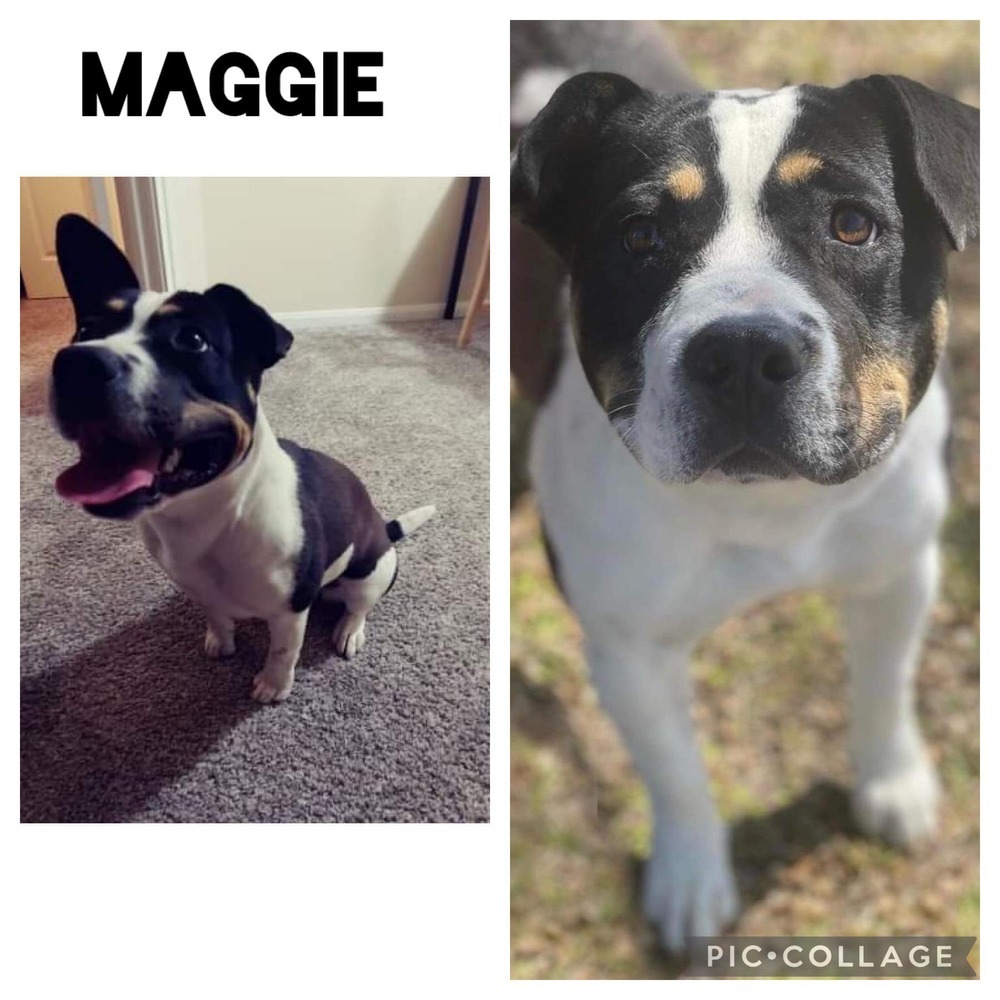 Maggie