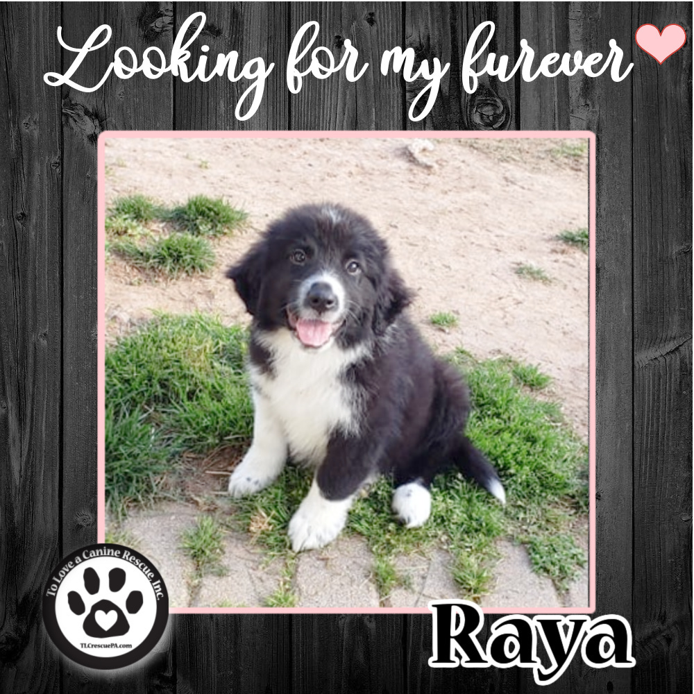 Raya (Tumbleweed Tykes) 041622