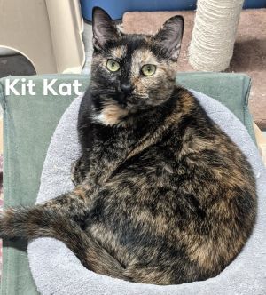 Kit Kat