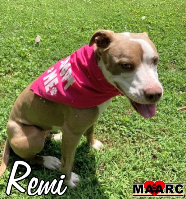 Remi