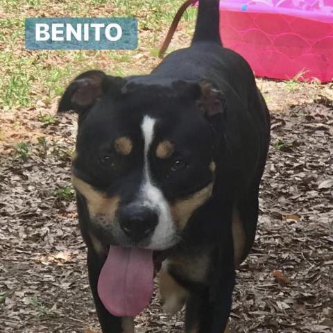 Benito