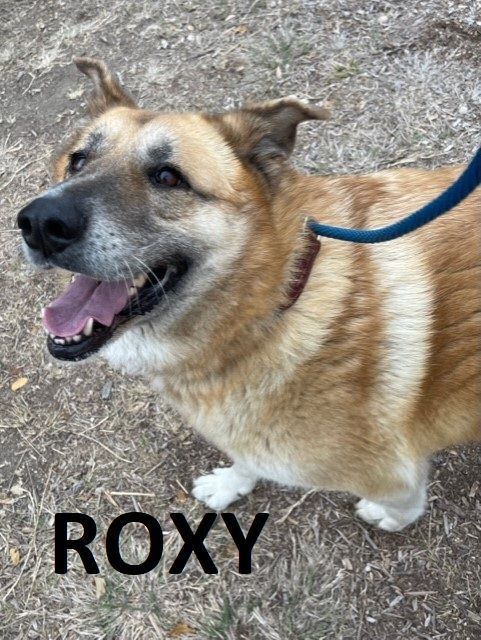 ROXY