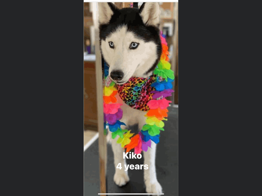 Kiko