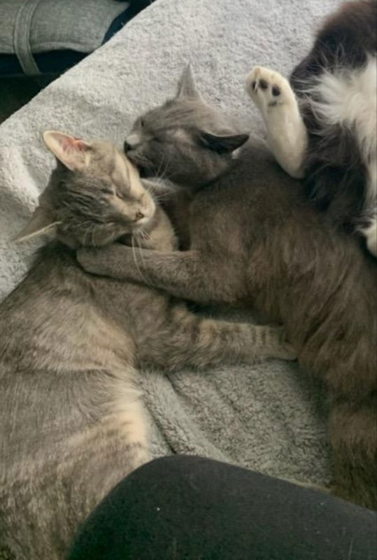 Matilda and Trixie