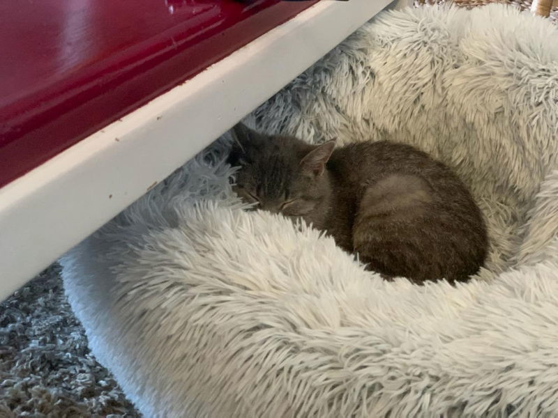 Matilda and Trixie