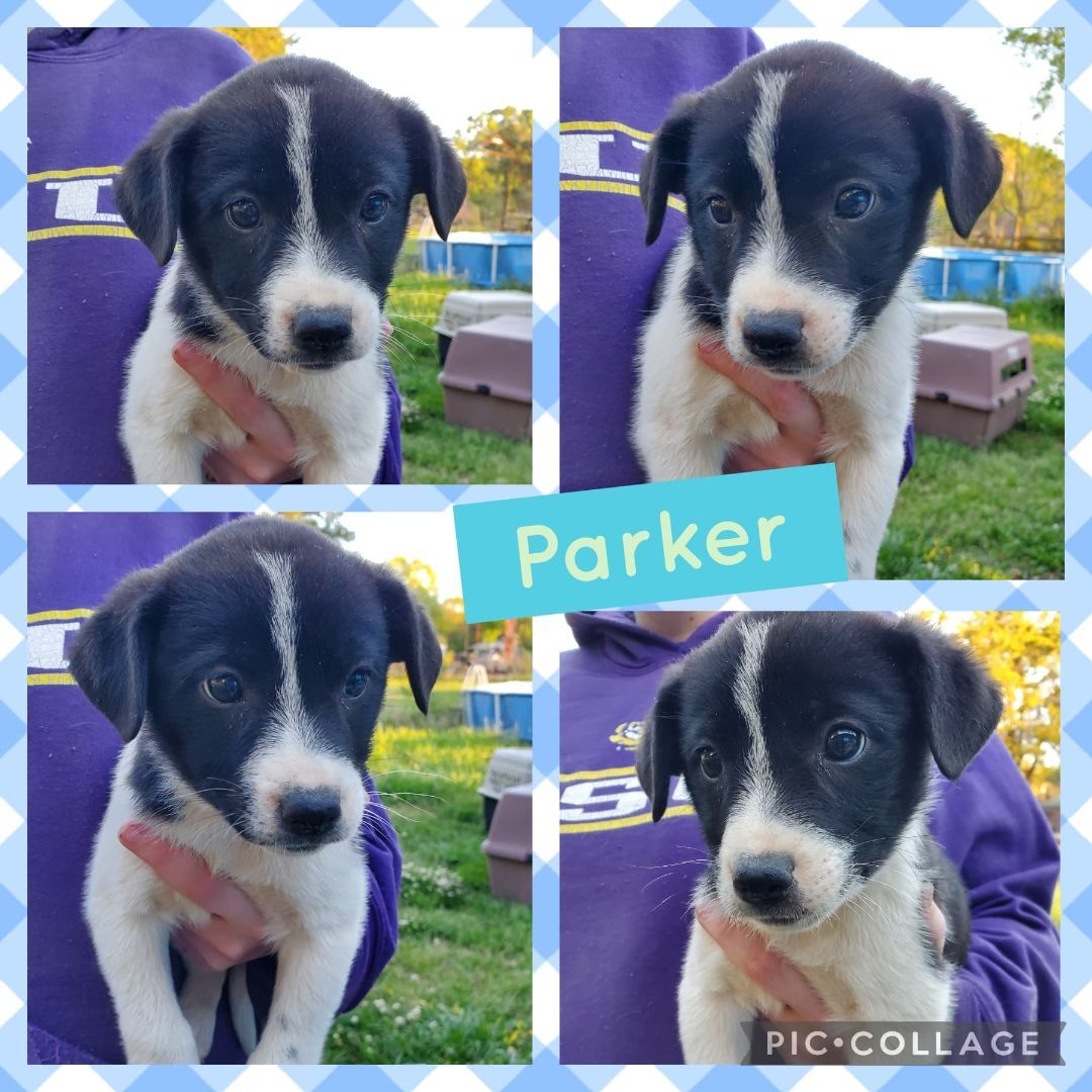 Parker