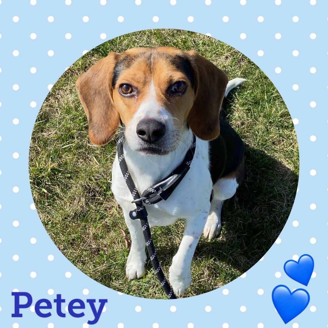 Petey