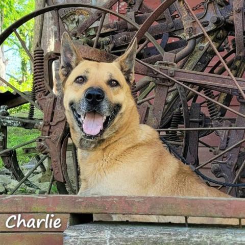 Charlie