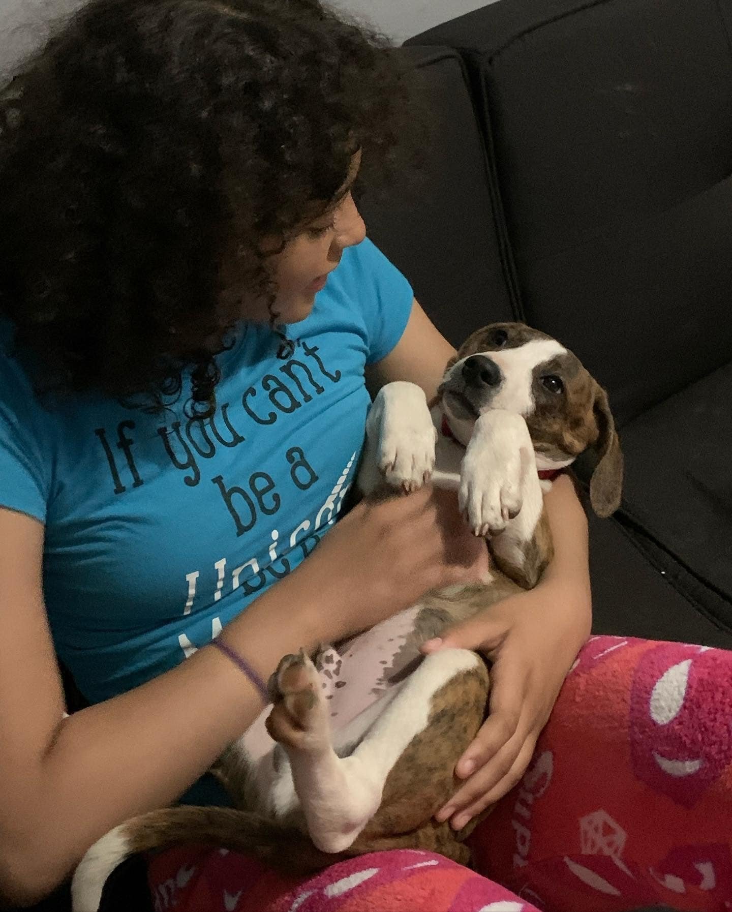 Beagle pit mix puppies