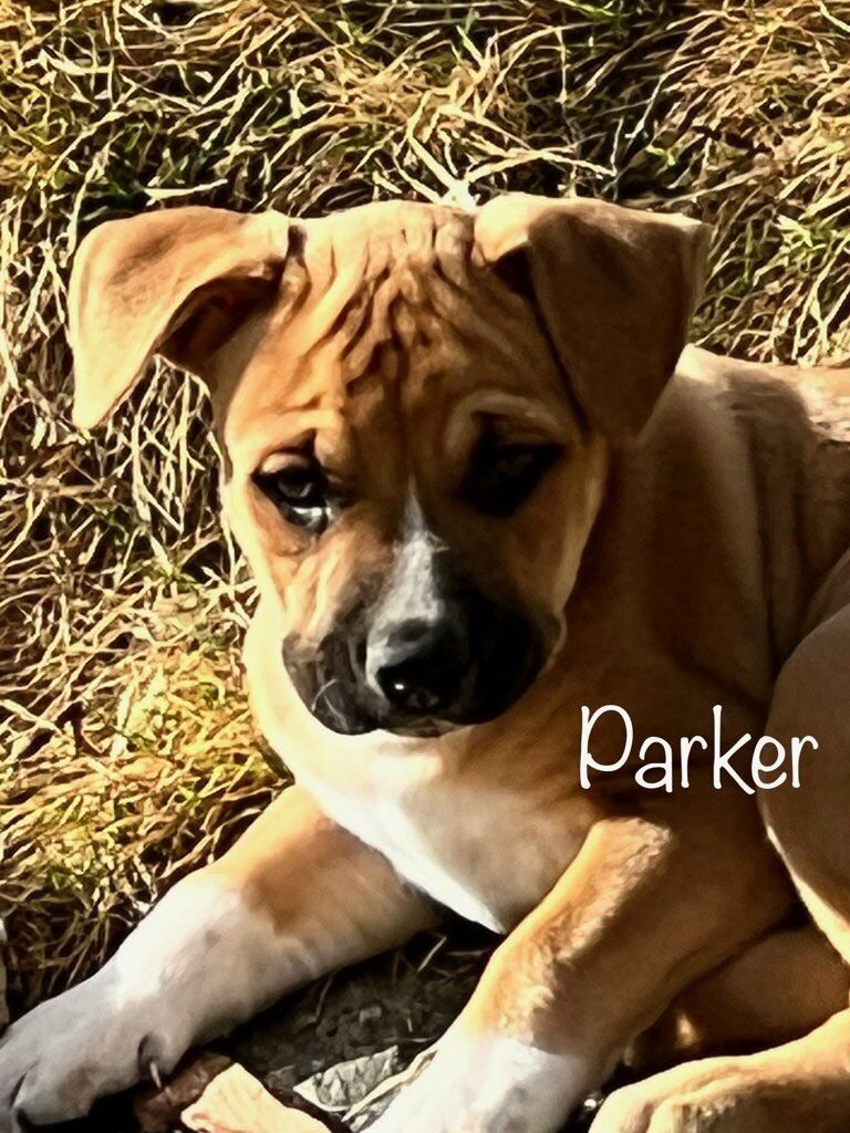 Parker