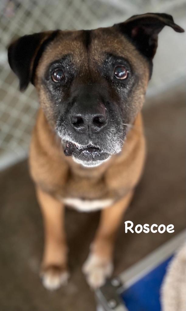 Roscoe