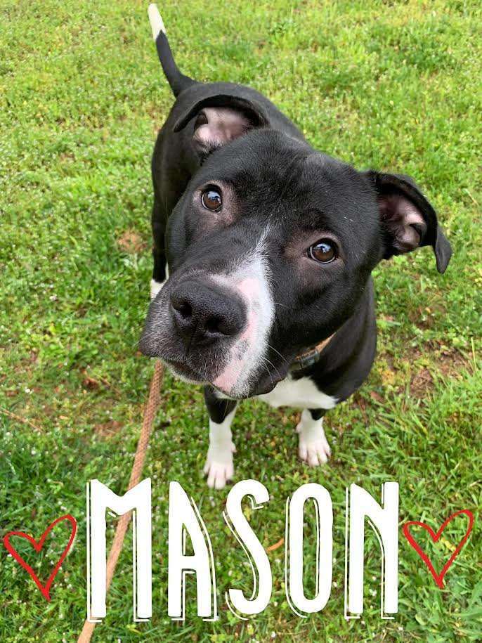 Mason