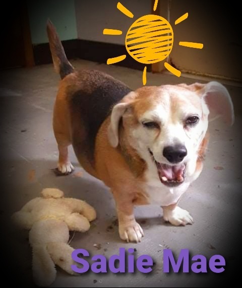 Sadie Mae