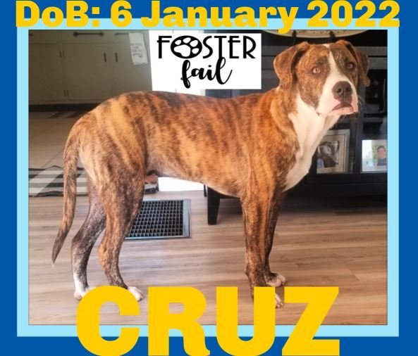 CRUZ