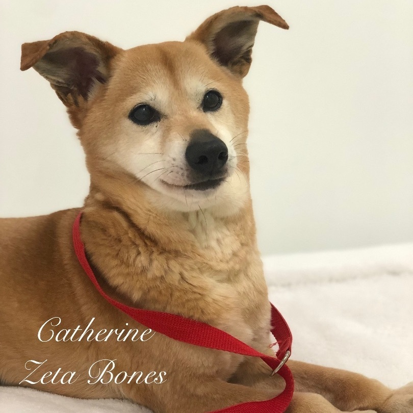 Catherine Zeta Bones