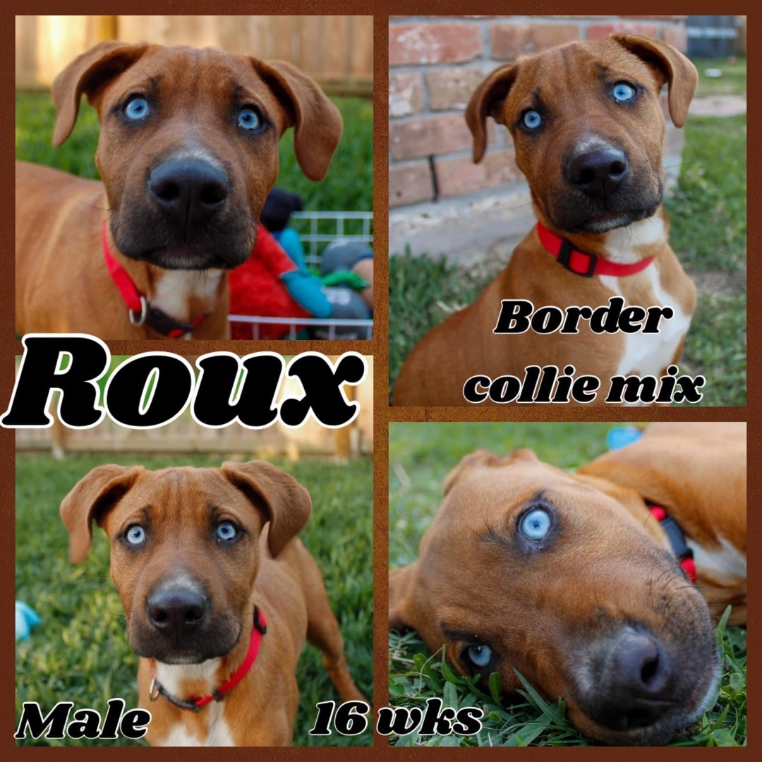 Roux