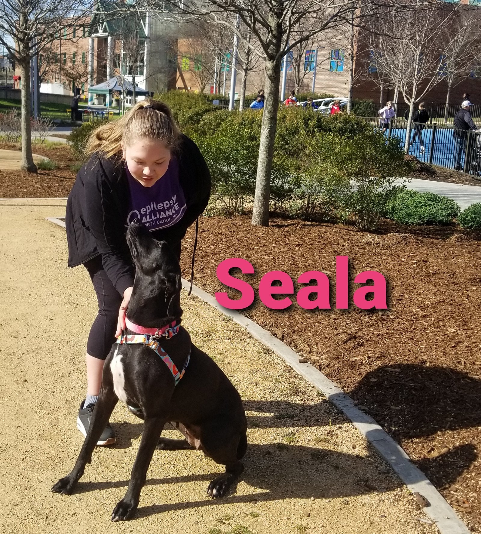 Seala