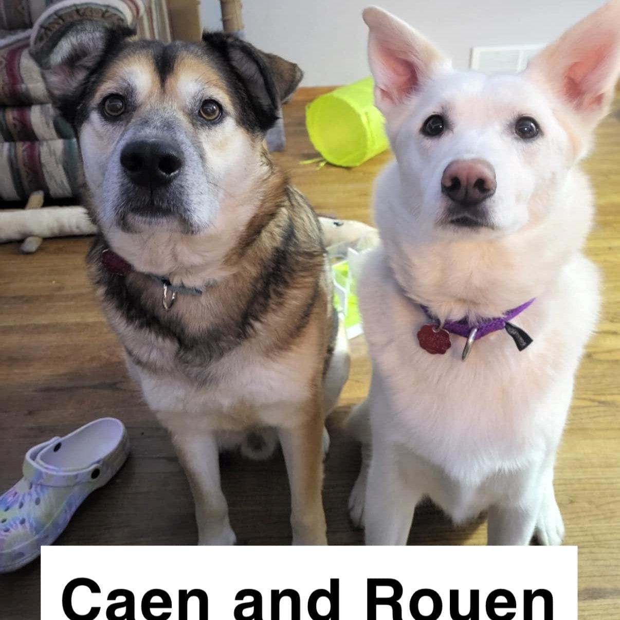 Caen & Rouen ~ Bonded Pair