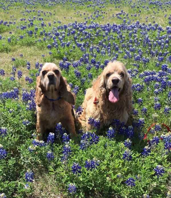 Rusty & Wynn
