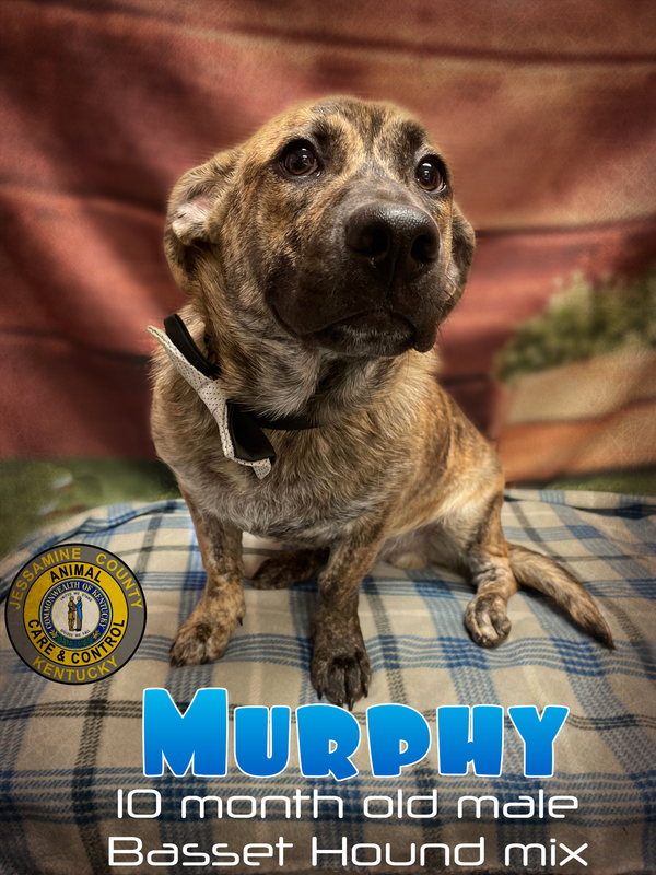 Murphy