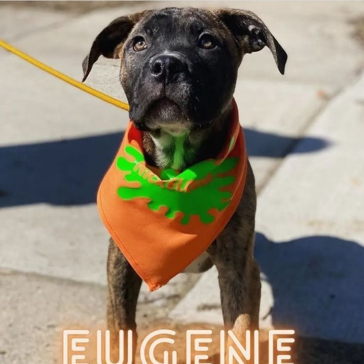 Eugene