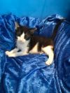 Bitzy photo 3