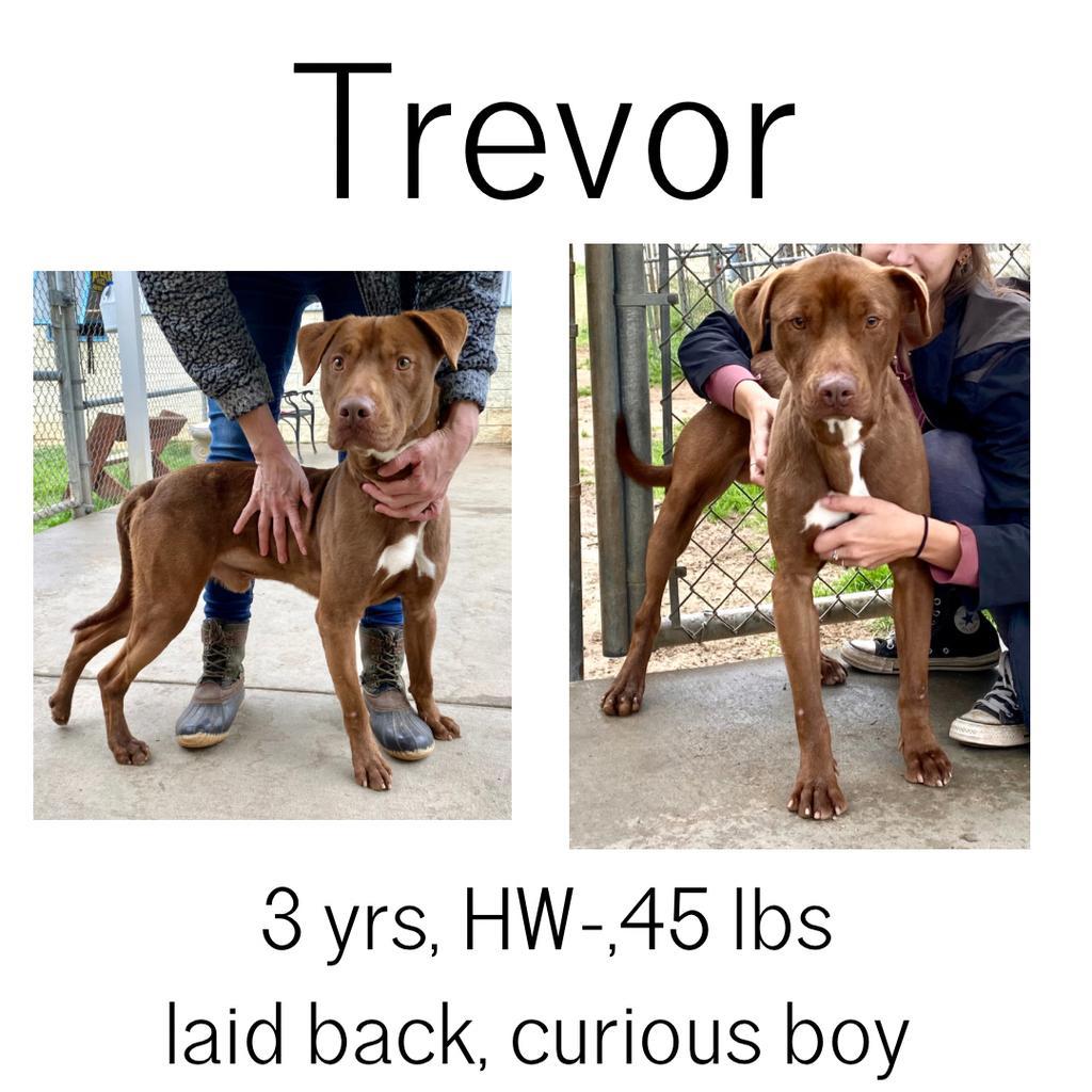 Trevor